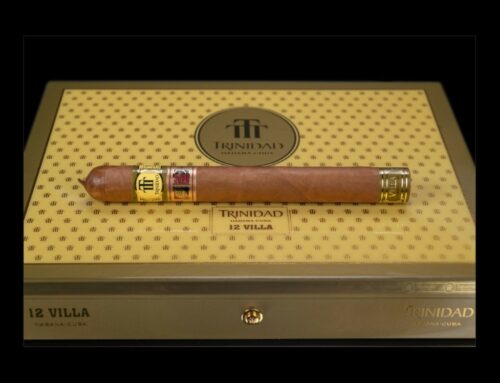 TRINIDAD VILLA: UN NUEVO PRODUCTO PARA LAS FRANQUICIAS